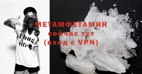 шишки Верея