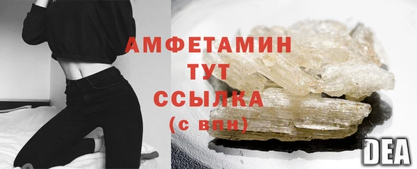 шишки Верея