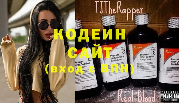 индика Бородино