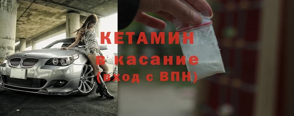 шишки Верея