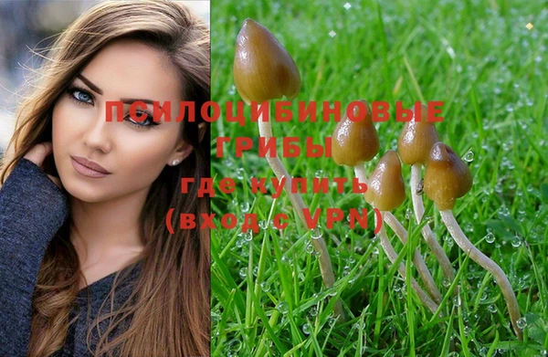 спайс Верхний Тагил