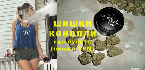 шишки Верея