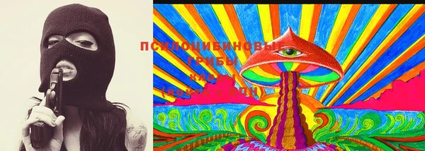 шишки Верея