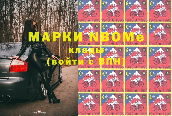 шишки Верея