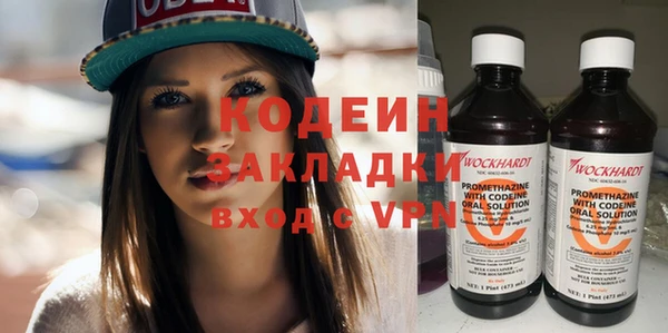 шишки Верея