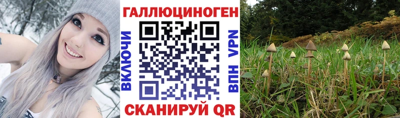 Купить закладки  Октябрьский  Псилоцибиновые грибы Psilocybine cubensis 